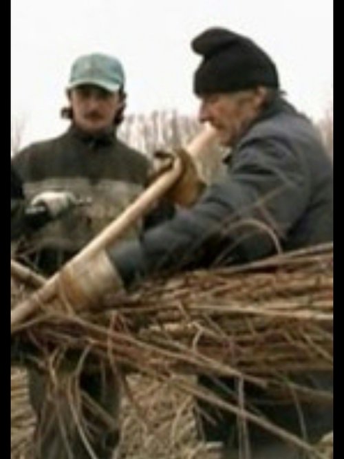 Nearby the river movie poster