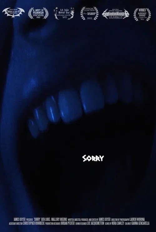 Sorry movie poster