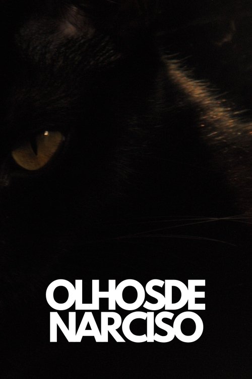Olhos de Narciso movie poster