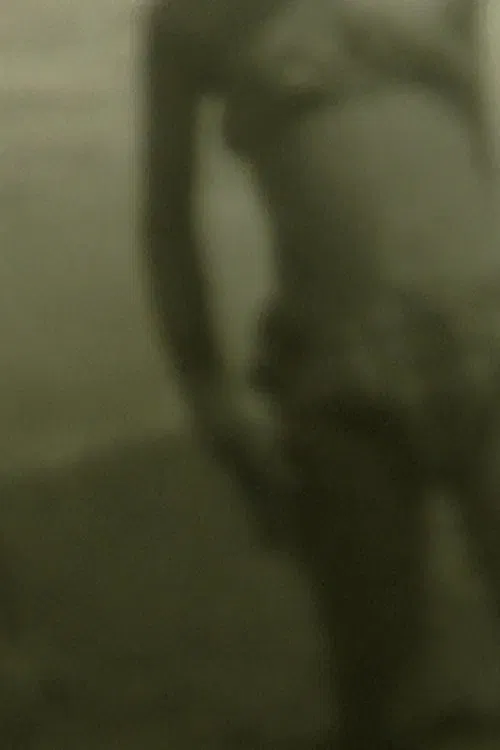 Poster do filme Apparitions