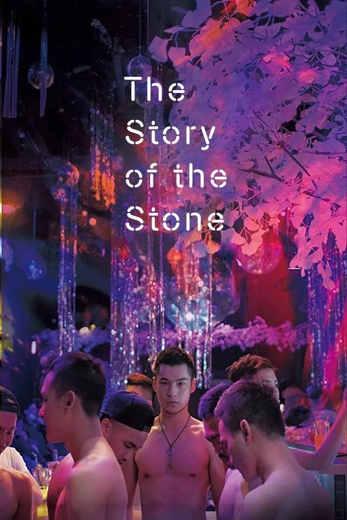 The Story of the Stone movie poster