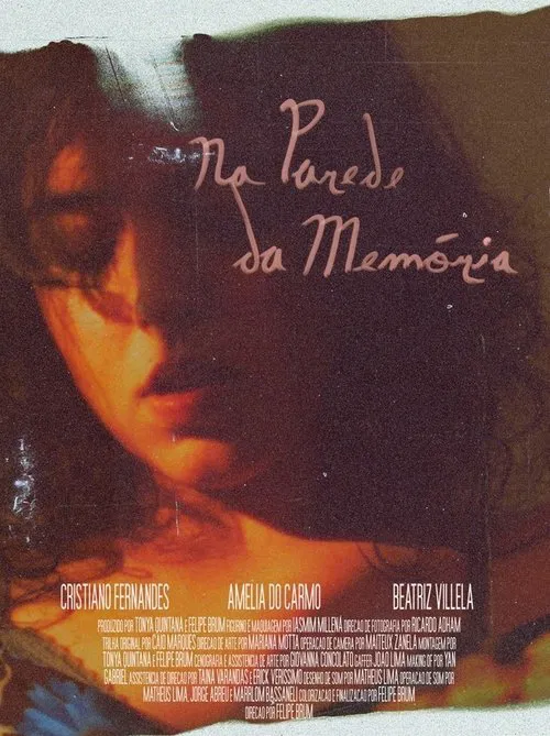 Na Parede da Memória movie poster