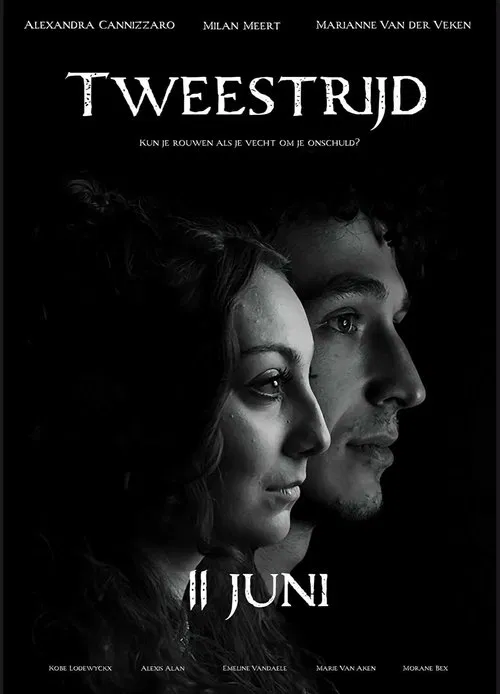 Tweestrijd movie poster