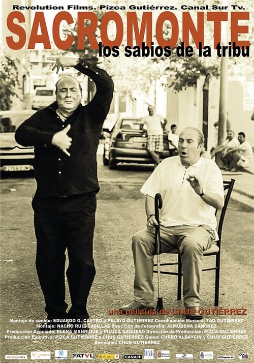 Sacromonte, los sabios de la tribu movie poster