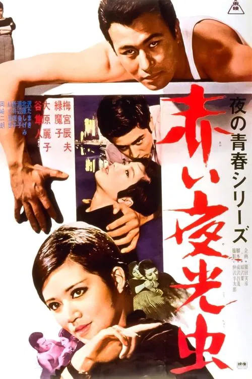 Nocturnal Lights movie poster