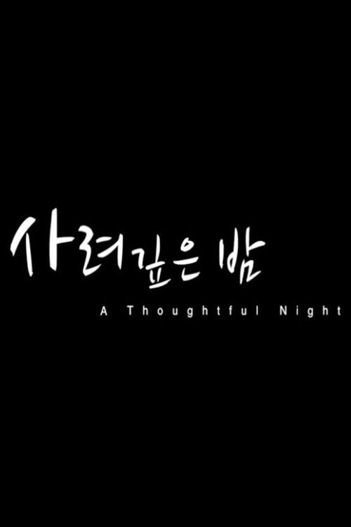 A Thoughtful Night movie poster