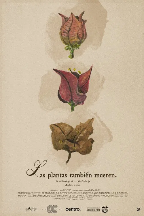 Las plantas también mueren movie poster