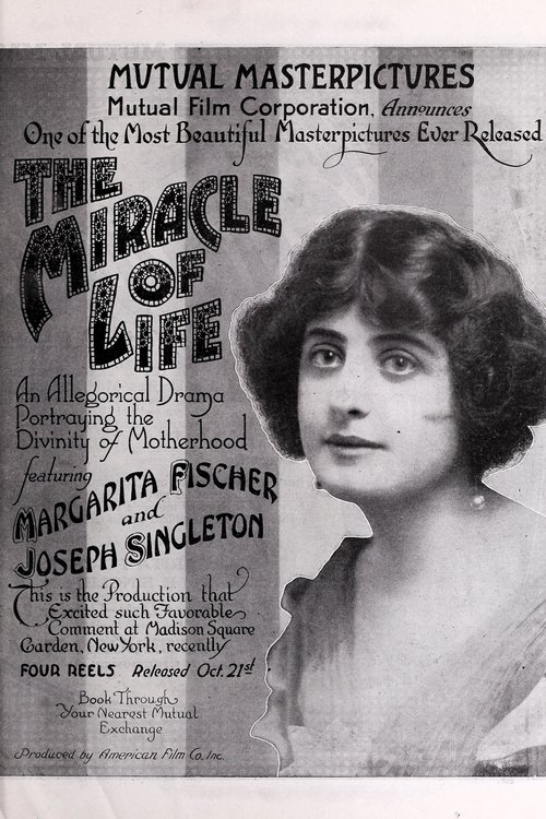 The Miracle of Life movie poster