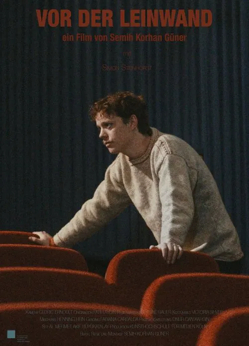 Facing the Screen movie poster