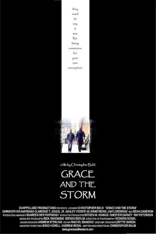 Grace And The Storm movie poster