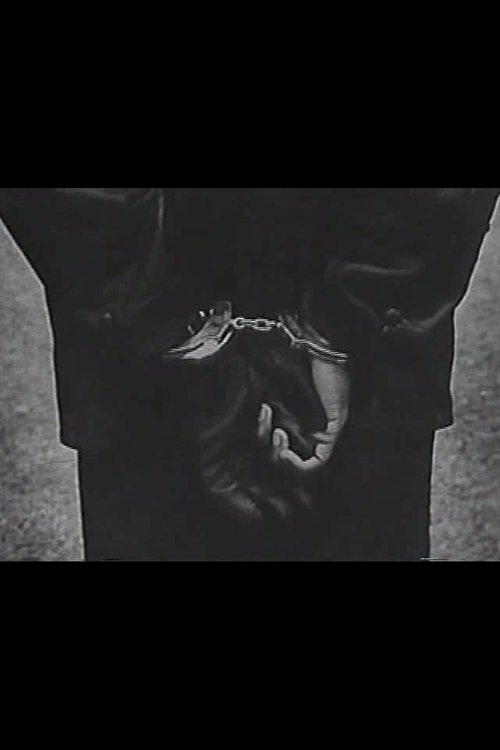 Repression movie poster