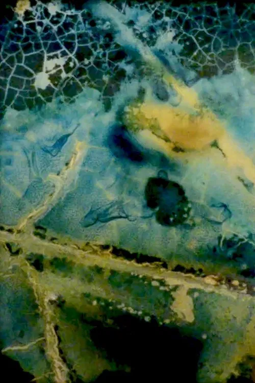 Poster do filme Water Mining (Eaton Canyon)