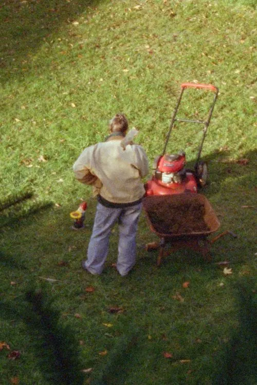 There is a Hole in the Ground movie poster