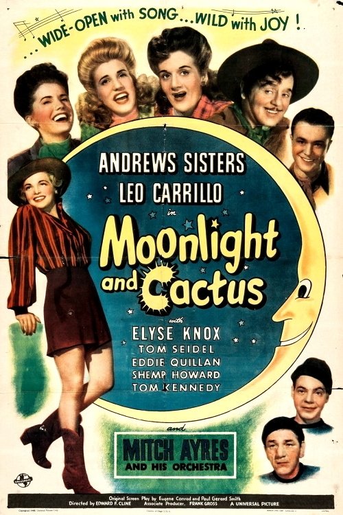 Moonlight and Cactus movie poster