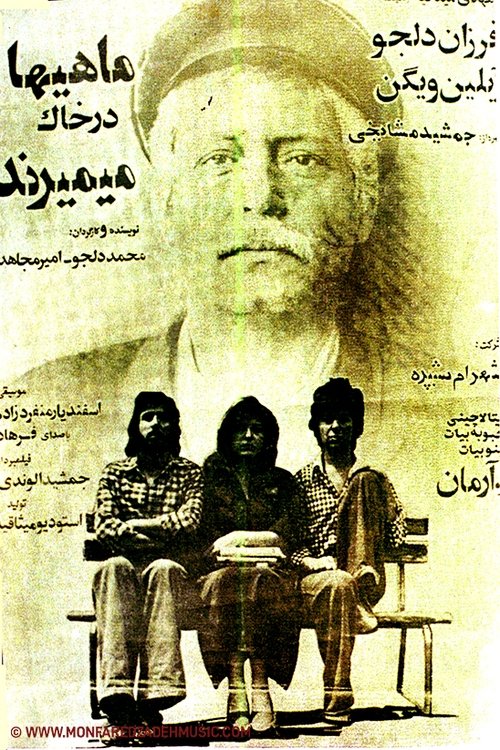 Fish Die in Soil movie poster