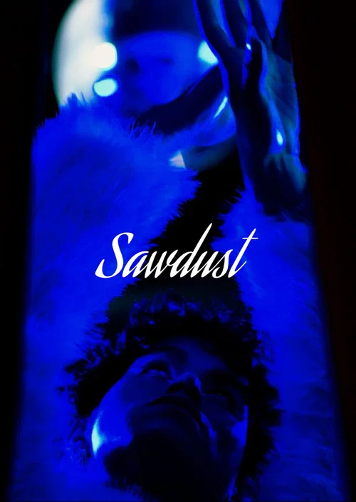 Sawdust movie poster