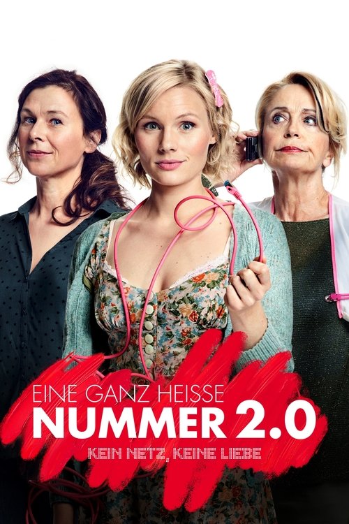 Eine ganz heiße Nummer 2.0 movie poster