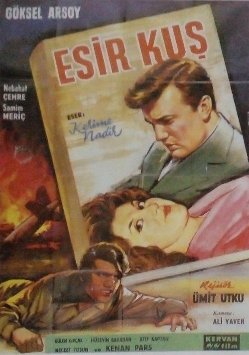 Esir Kuş movie poster