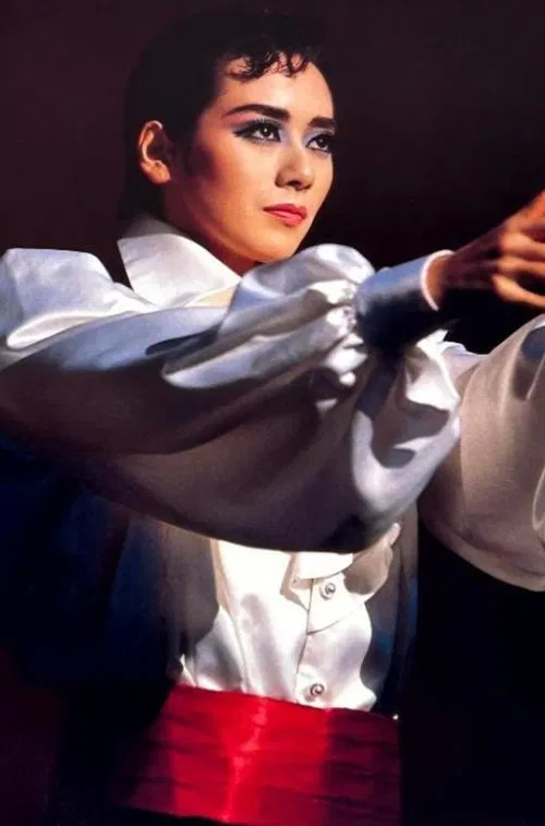 The Red and the Black movie poster