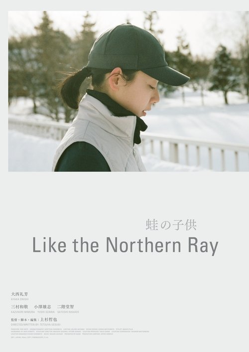 Like the Northern Ray movie poster