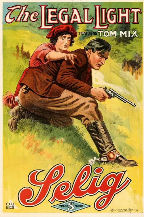 The Legal Light movie poster