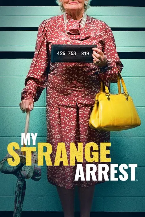 My Strange Arrest tv show poster