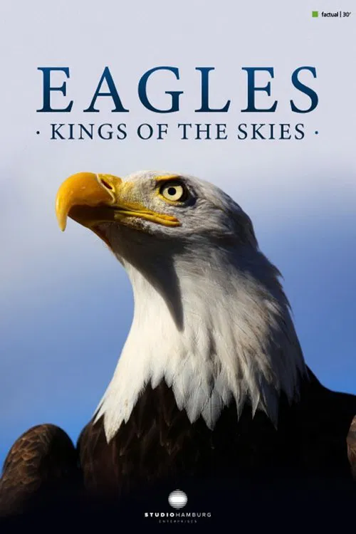 Eagles - Kings of the skies movie poster