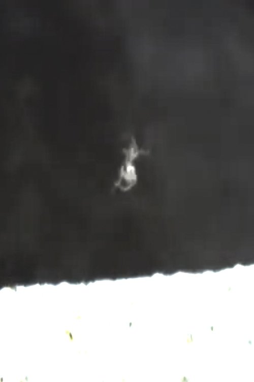 great silence movie poster