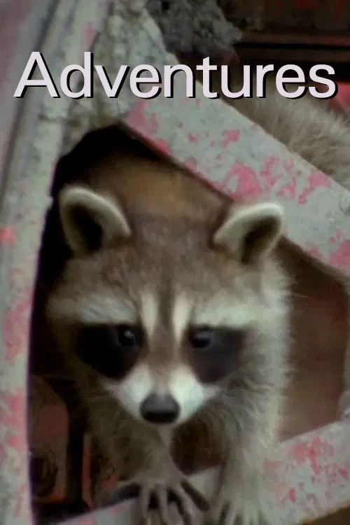 Adventures movie poster