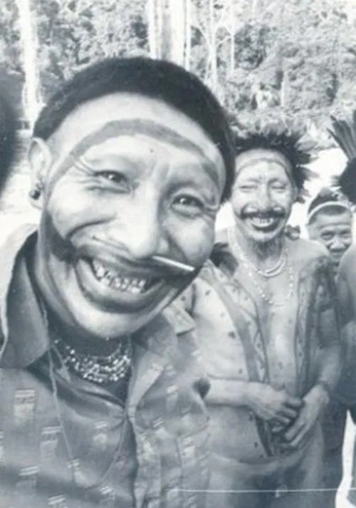 Os Arara movie poster