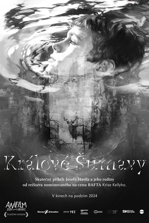 Králové Šumavy movie poster