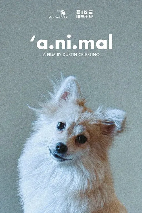 'a.ni.mal movie poster