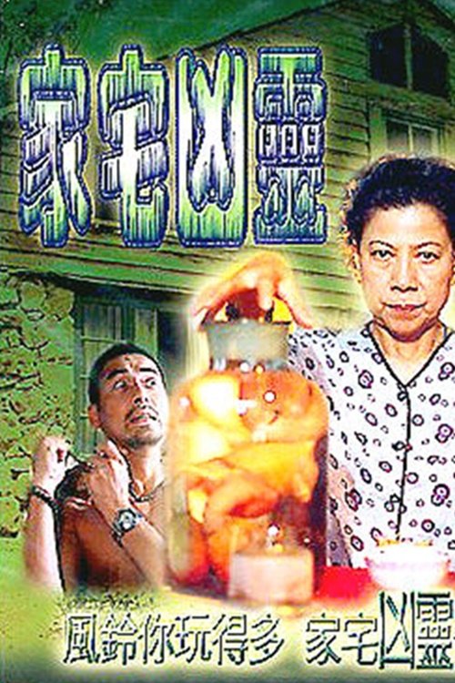 Ghost in the Family movie poster