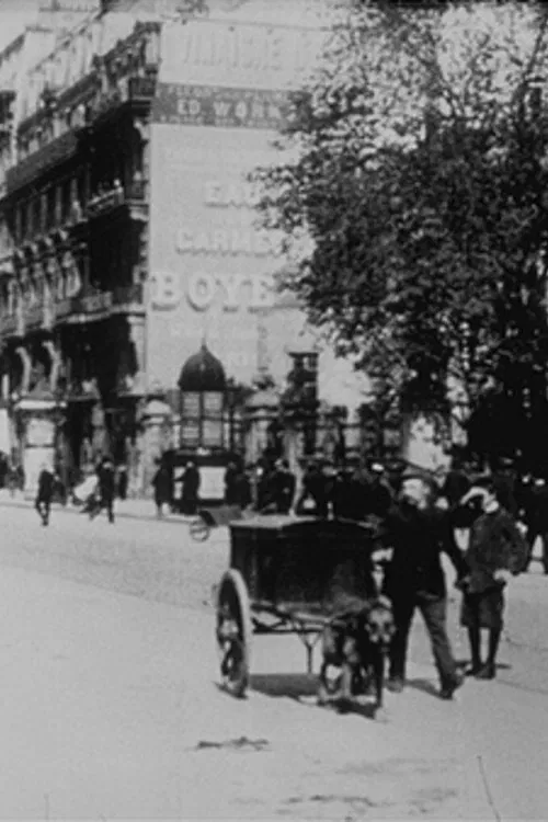 Bruxelles, Boulevard Anspach movie poster
