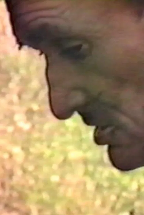 El Padre Mío movie poster