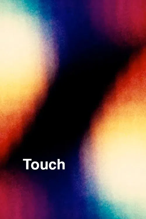Touch movie poster