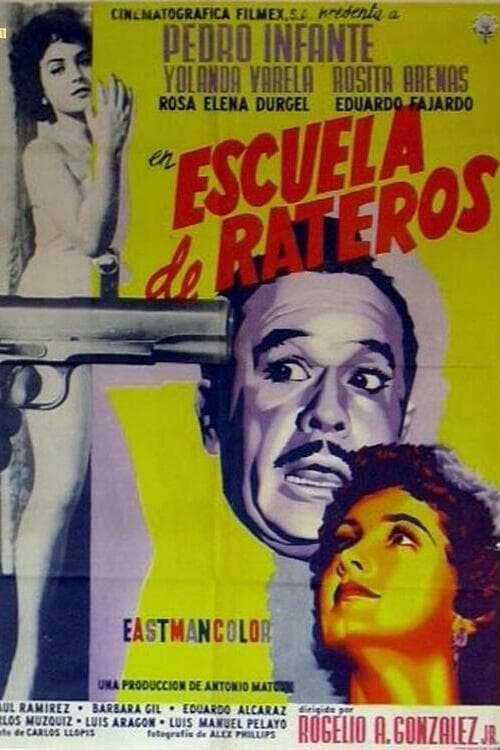 School for Buglars movie poster