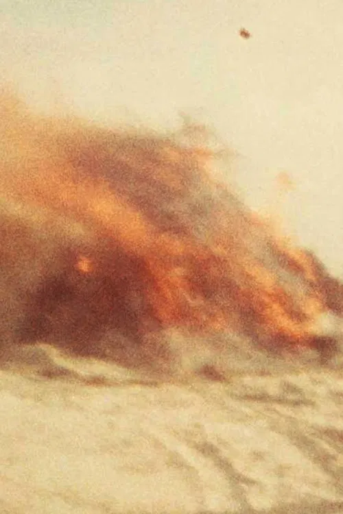 Poster do filme Scenes from an Island