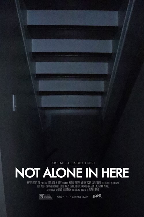 Not Alone in here movie poster