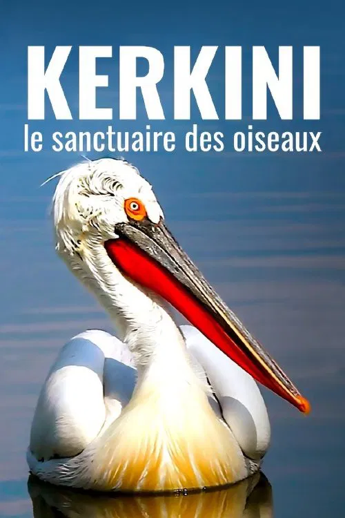 Kerkini: The Bird Sanctuary movie poster