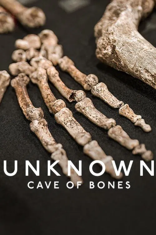 Unknown: Cave of Bones movie poster