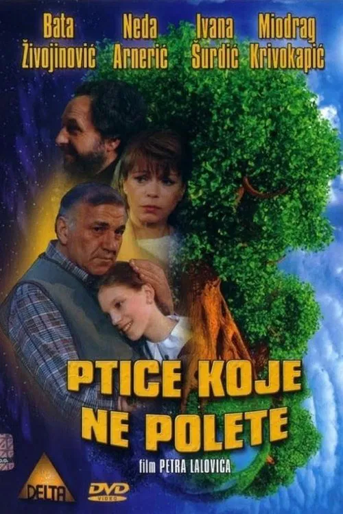 Some Birds Can't Fly movie poster