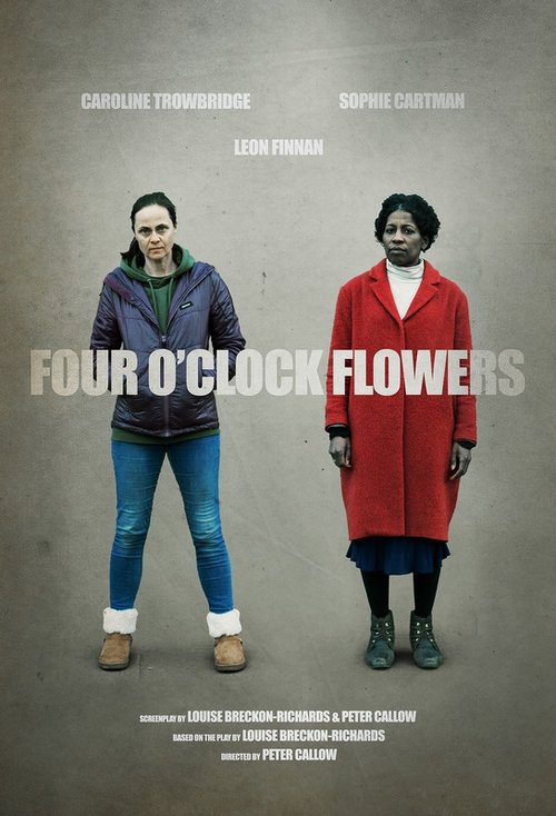 Four O'Clock Flowers movie poster