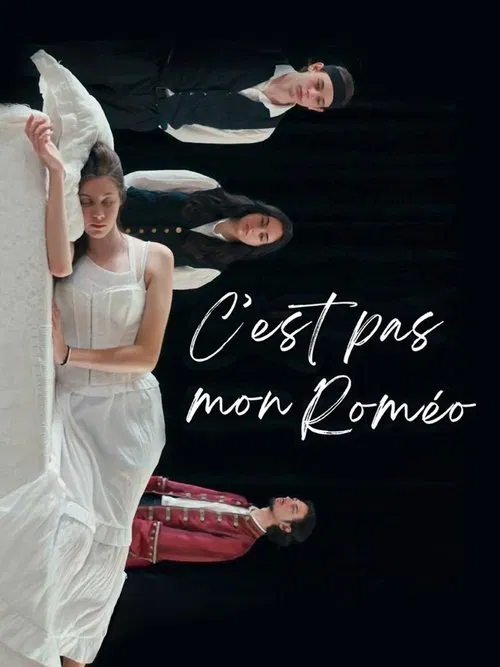 Poster do filme C'est pas mon Roméo