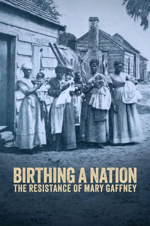 Birthing a Nation: The Resistance of Mary Gaffney movie poster