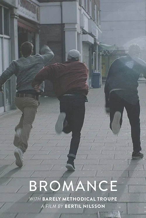 Bromance movie poster