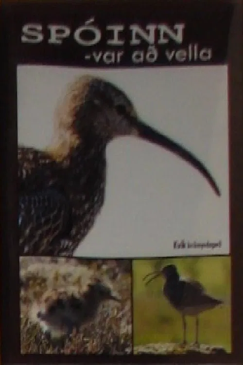 Poster do filme Spóinn var að vella