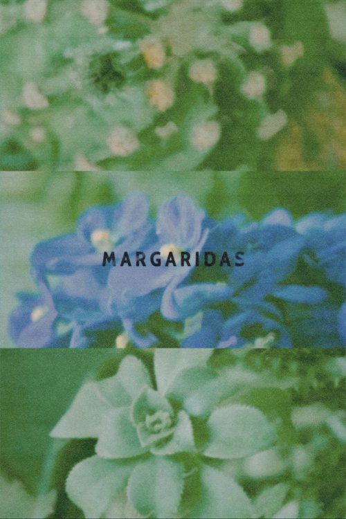 Margaridas movie poster