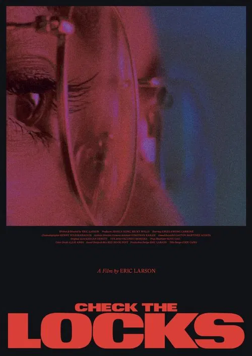 Check the Locks movie poster