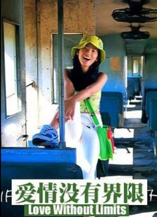 Love Without Limits movie poster